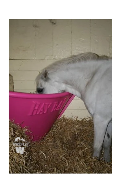 Pony Hay Bar Roze Equine Feeders - René Wielens Diervoeders Pony Hay Bar Pink Roze