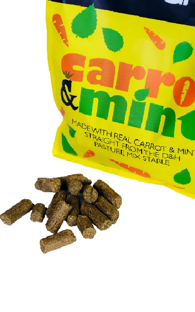 Dodson & Horrell Carrot & Mint Treats 1kg - Wielens Diervoeders Carrot & Mint Treats