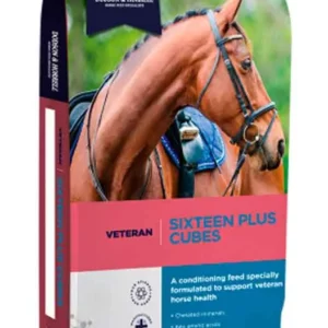 Home - Wielens Diervoeders Sixteen Plus Cubes